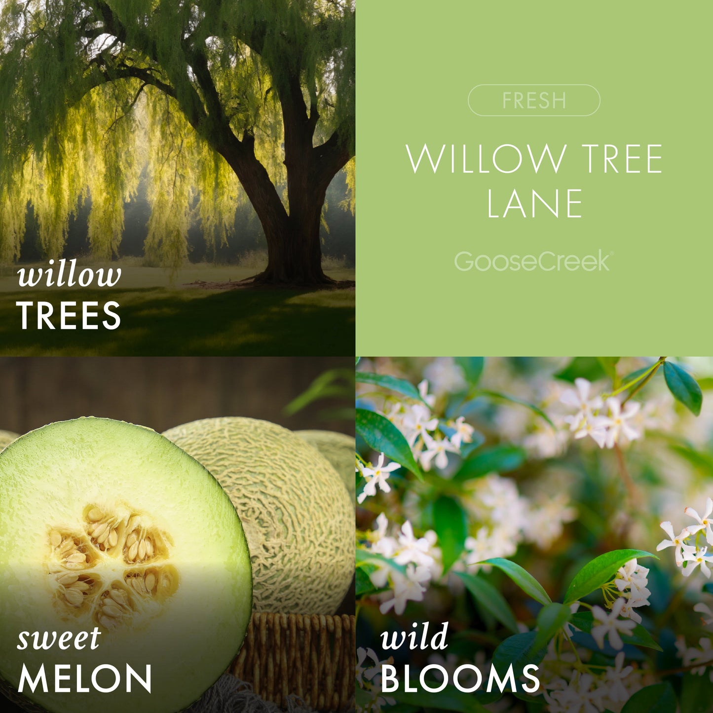 Willow Tree Lane 3-Wick Candle